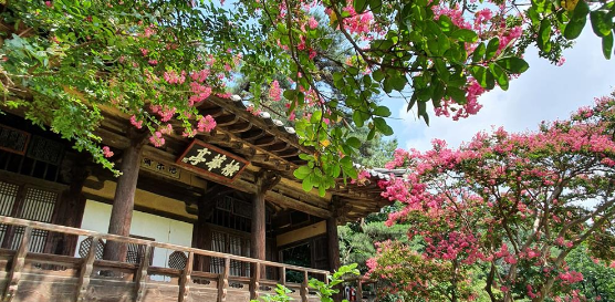 경상북도 안동 전통문화 체험 코스 총정리