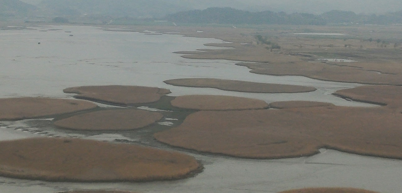 순천만 습지