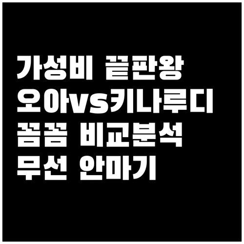 가성비 무선 안마기 추천: 오아 vs..