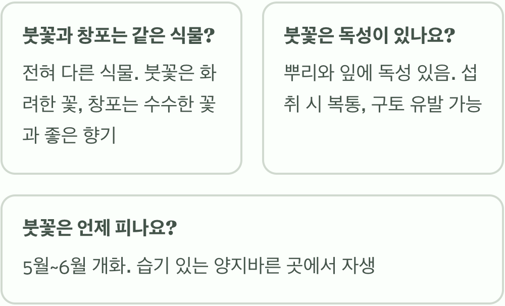 붓꽃 꽃말과 색상별 의미 총정리