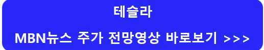 테슬라-주가-전망-배당금-알아보기