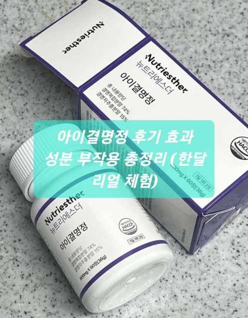 아이결명정