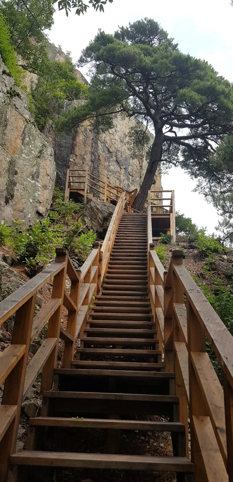 청도 복호산
