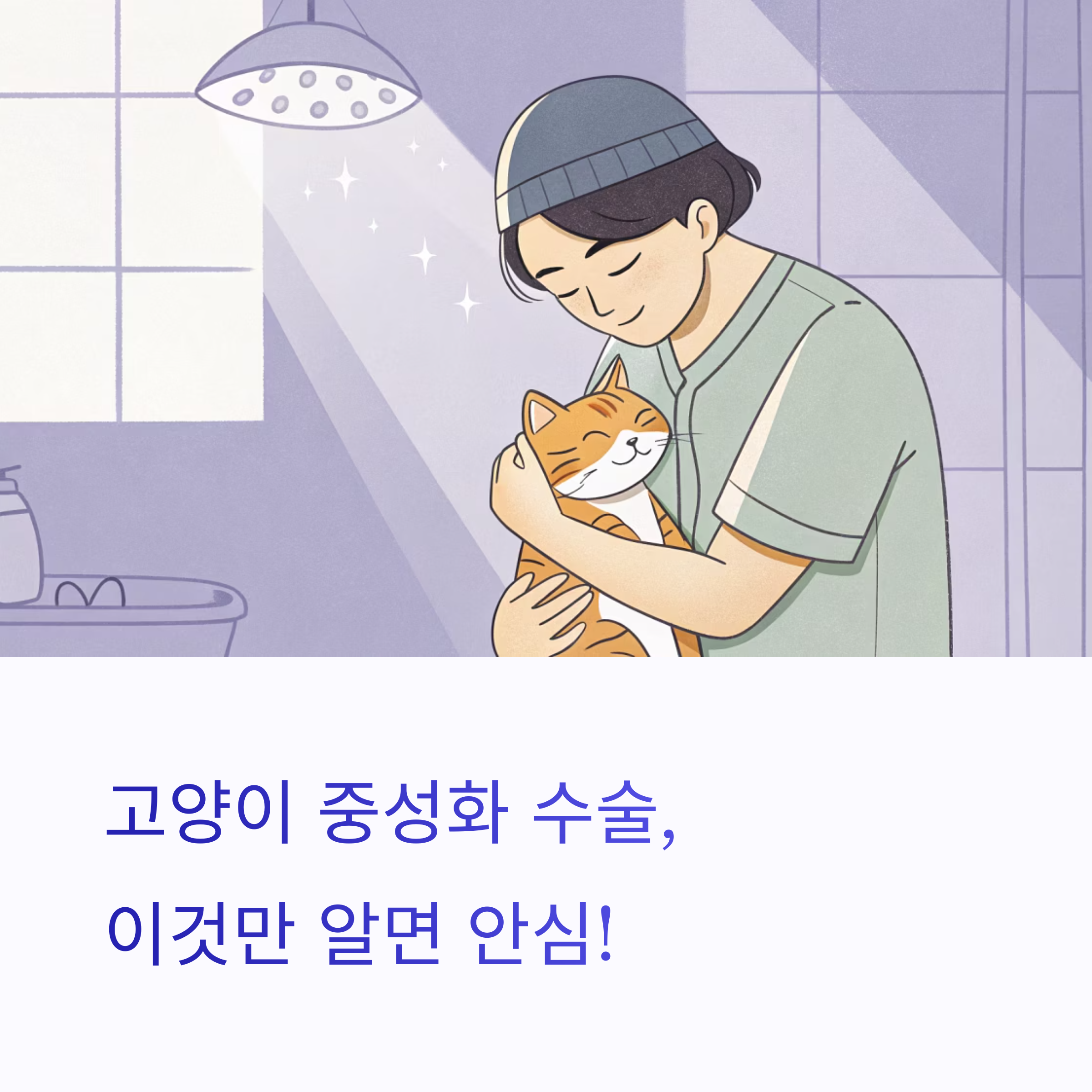 고양이 중성화 수술, 꼭 챙겨야 할 것들