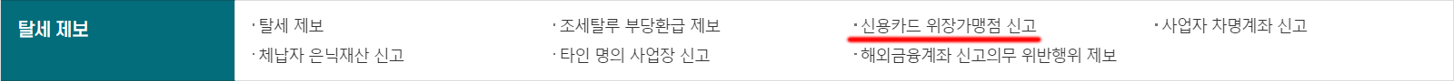 국세청홈텍스 홈페이지 > 탈세 제보 > 상담·불복·고충 제보·기타