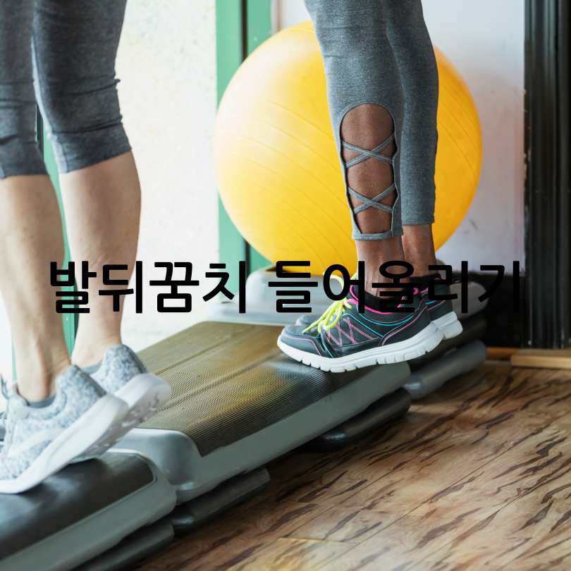 무릎 관절에 좋은 운동방법