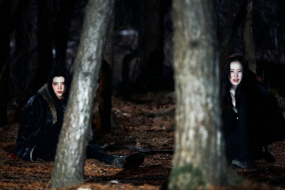 프로젝트Y 영화 정보 출연진 관람평 결말 평점