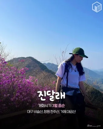 경상도 봄여행 가볼만한곳 베스트 10 완벽 여행 가이드_26