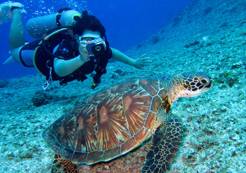 겨울 해외여행지 베스트 10