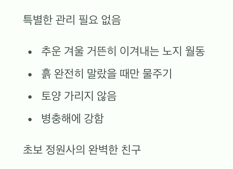 생명력 끝판왕, 특별한 관리가 필요 없어요