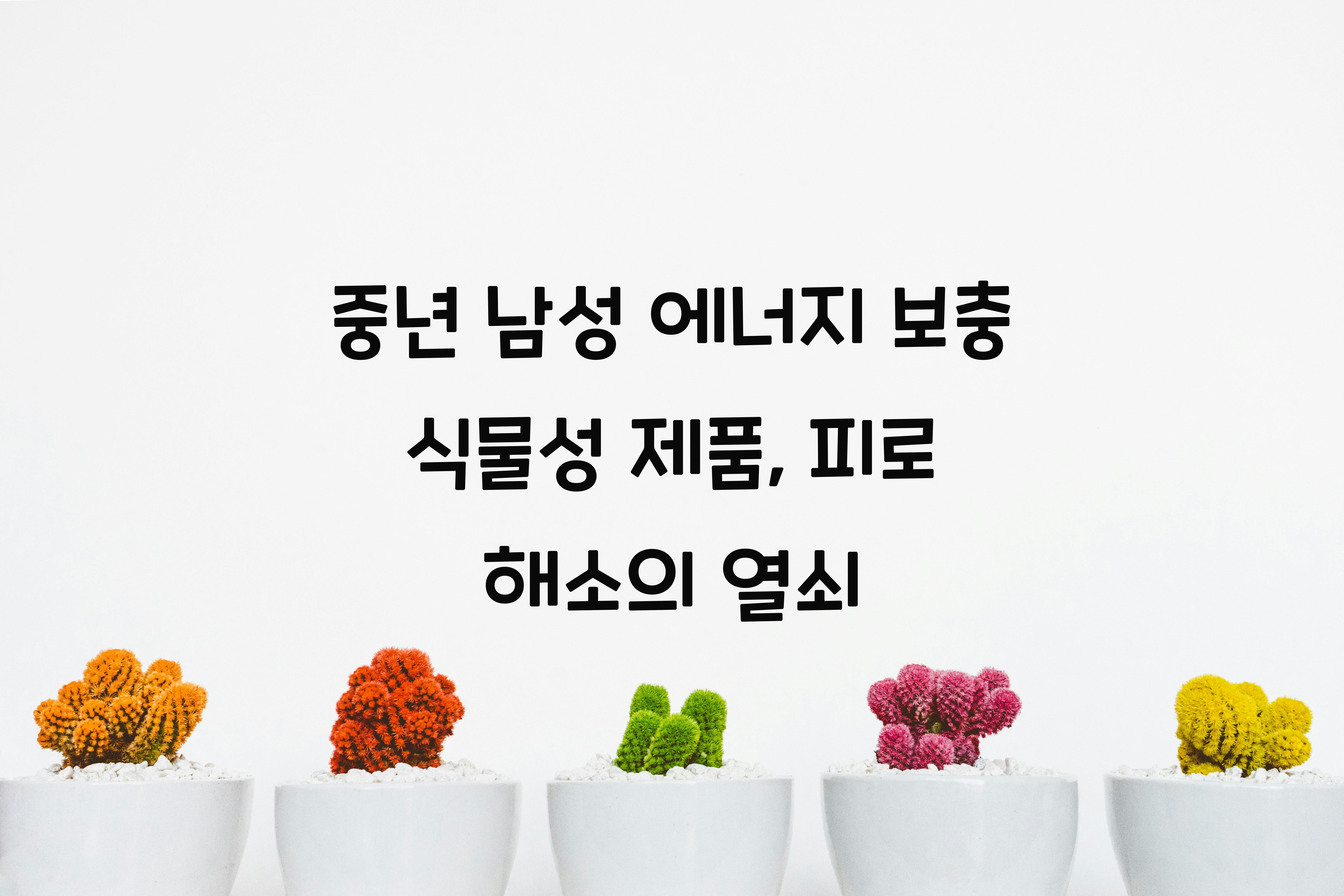 중년 남성 에너지 보충 식물성 제품