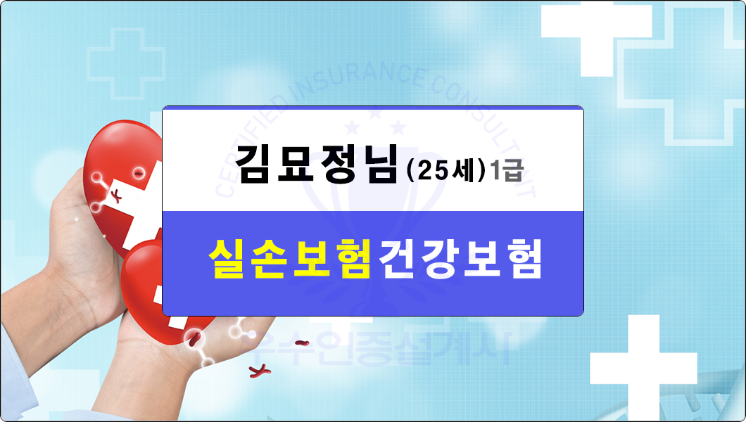03_김묘정님_실손보험건강보험