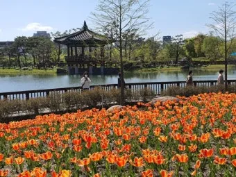 나는 빛나는 별처럼 느꼈습니다 한밭수목원 클레마티스 전시회 관람기_10