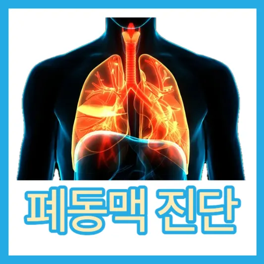 폐똥맥 돌연사 폐동맥고혈압 원인 증상 진단 검사 치료법