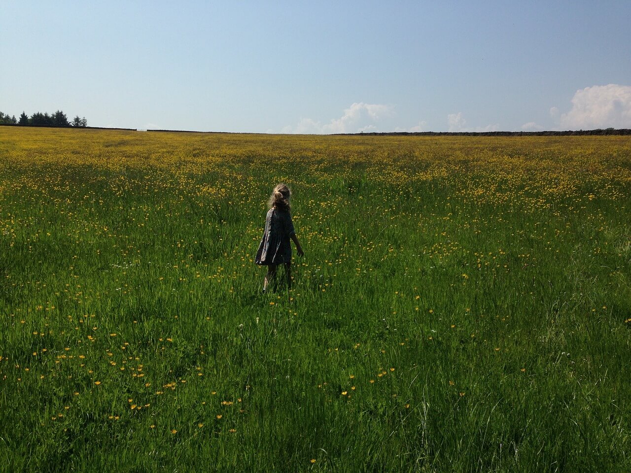 체지방 줄이는 법과 관련된 사진 - 3