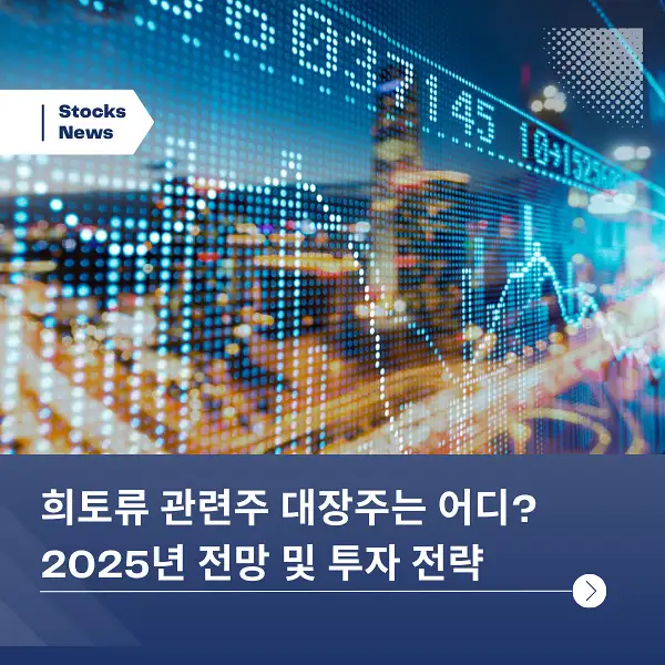 희토류 관련주 대장주