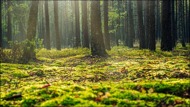 위닉스 제습기 비교 분석 및 추천 (+후기&amp;#44; AS 신청방법)