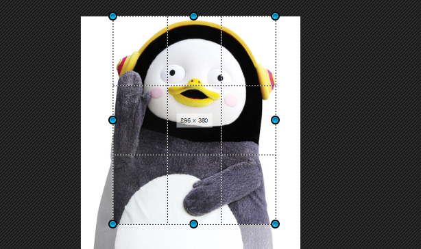 펭수 증명 사진