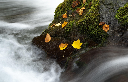 세계 속의 K-문화, 한류가 바꾼 글로벌 문화의 흐름