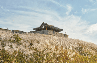 국가유산 방문자 여권 신청방법 [할인 혜택]