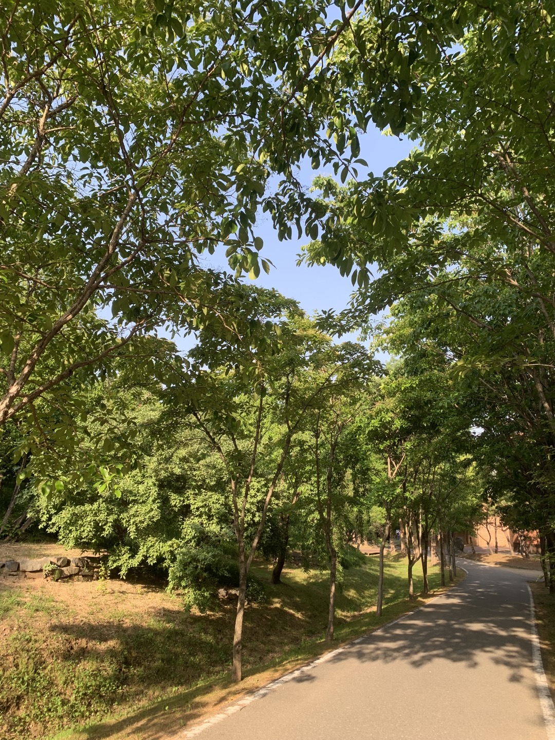 오산 물향기 수목원