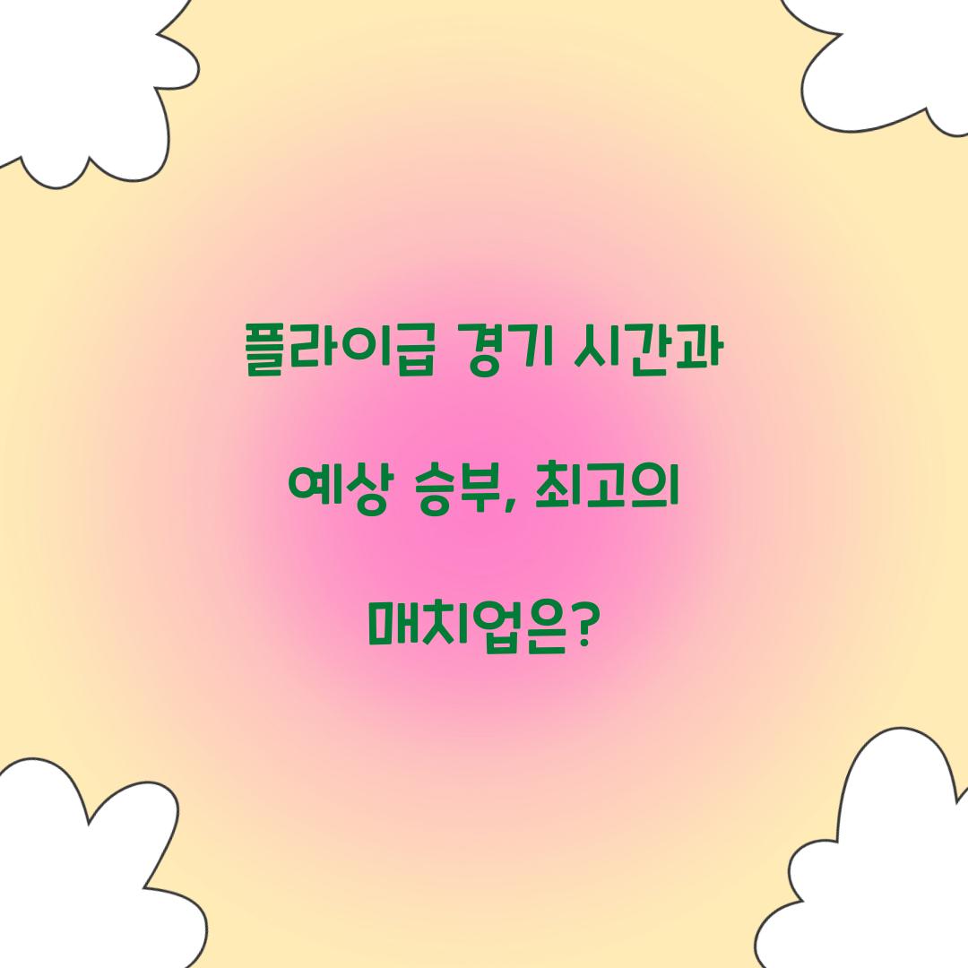 플라이급 경기 시간