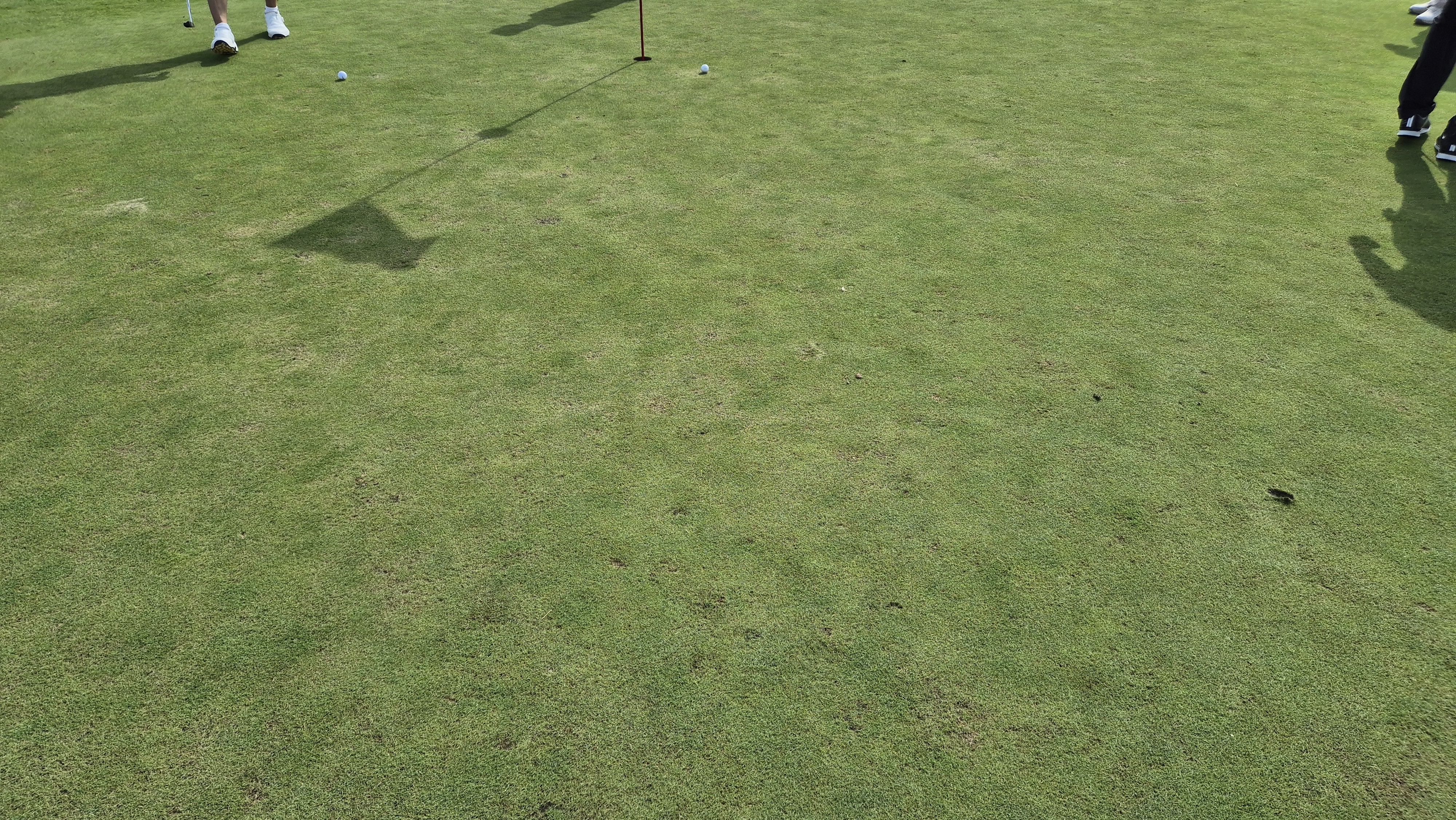 플라밍고cc 듄스-링크스 코스 라운드 후기