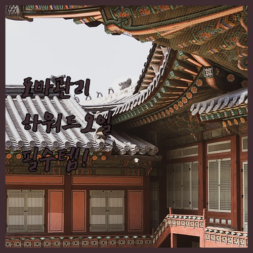 하워드 레브홈 나무 도마 관리용품 대..