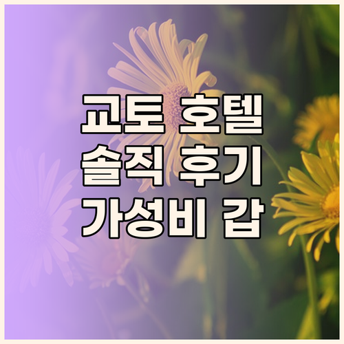 교토 여행 호텔 윙 인터내셔널 교토