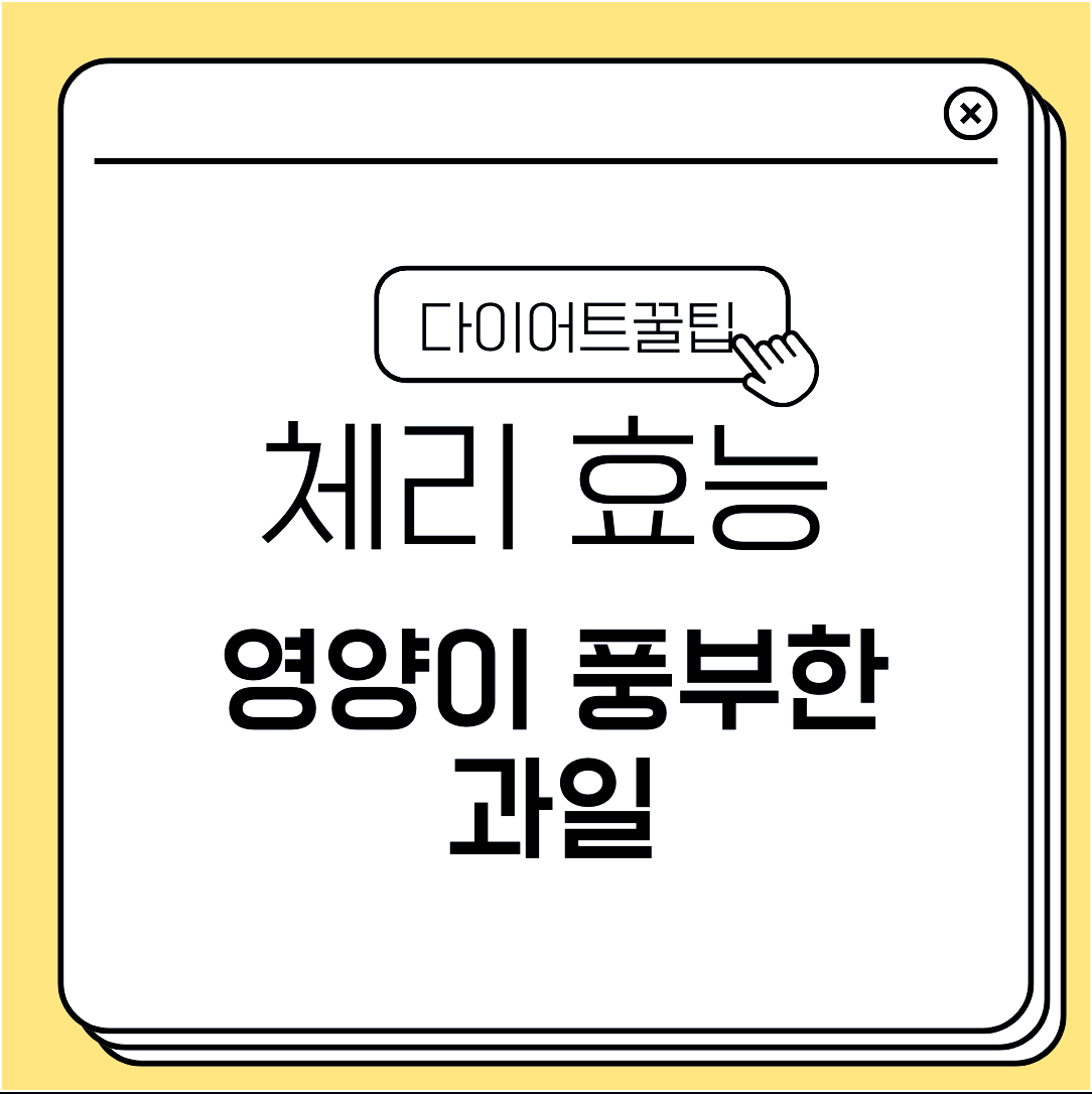 체리 효능 영양이 풍부한 과일