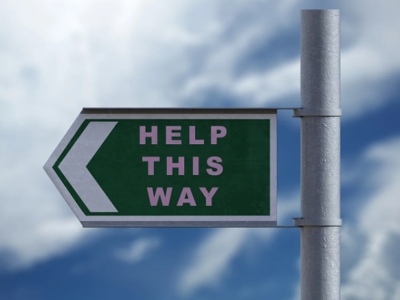 디지털 노마드 직업별 입문 루트 상세 가이드(비전공자도 가능한 6가지 현실적 진입 방법)