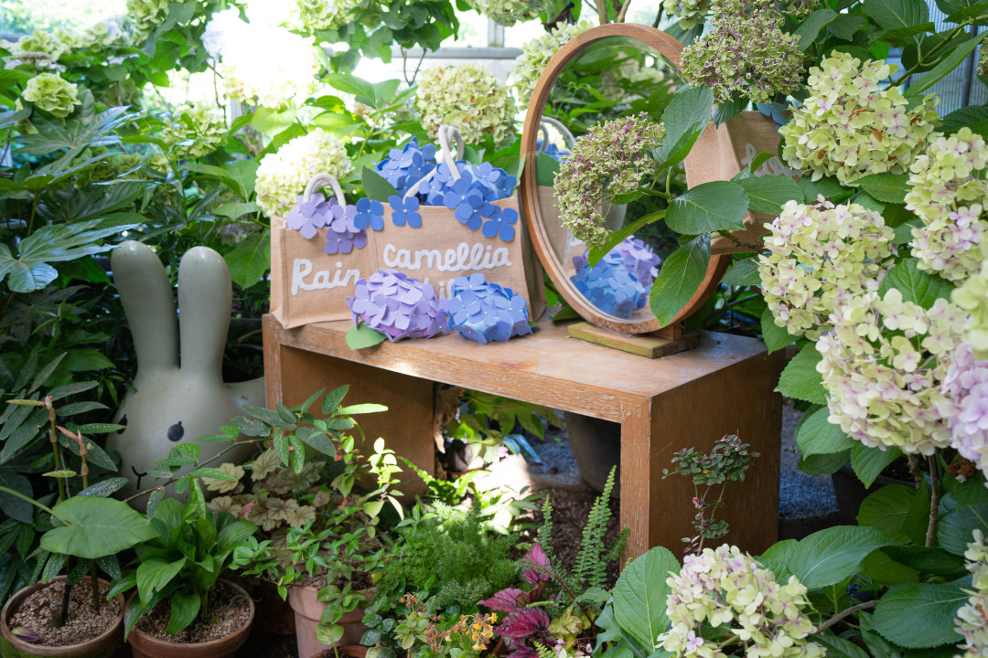 카멜리아힐 수국