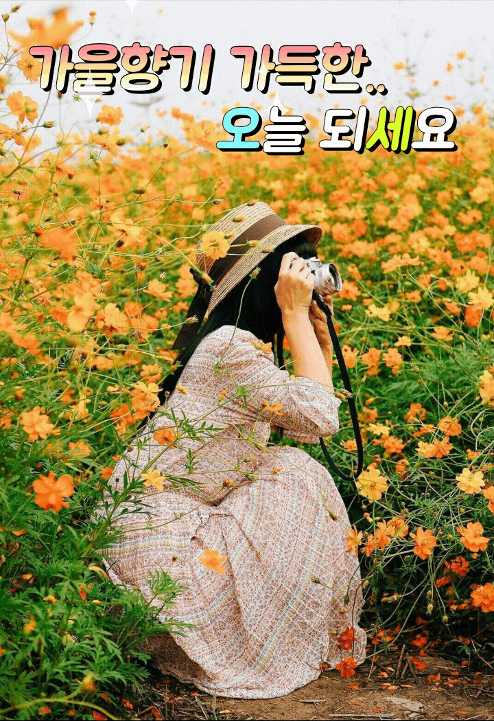 가을향기 가득한 오늘 되세요