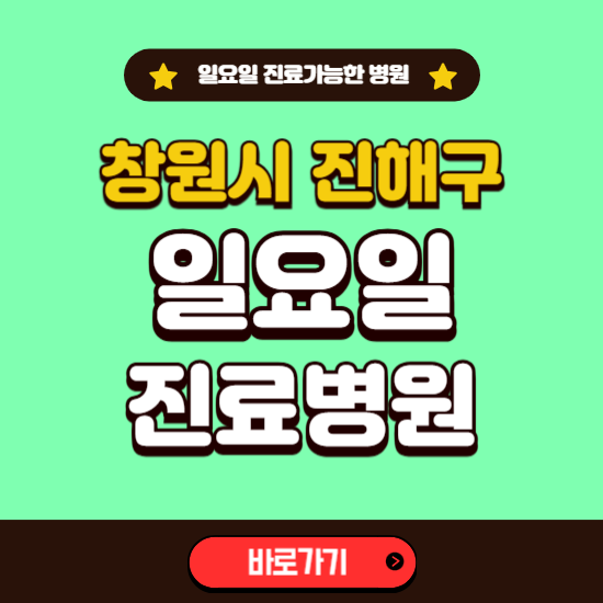 창원시 진해구 일요일 진료 가능한 병원 ❘ 주말 문여는 곳 총정리 (소아과, 내과, 안과, 치과, 피부과, 정형외과, 산부인과)