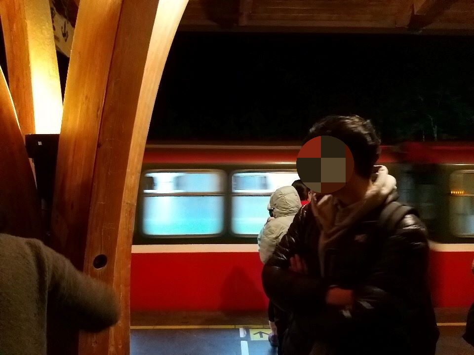 아리산 일출 열차