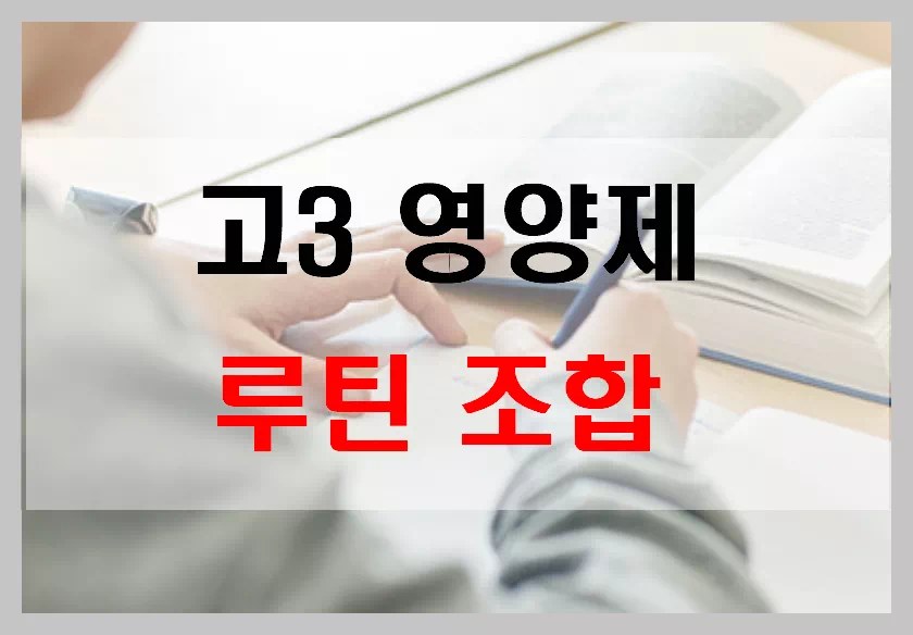 고3영양제 루틴조합