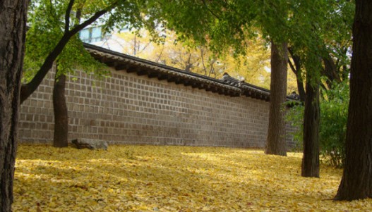 11월 국내여행지 베스트10. 덕수궁과 정동길 (서울특별시 중구)