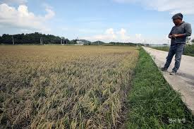 손해평가사 시험과목, 시험일정, 합격률, 전망