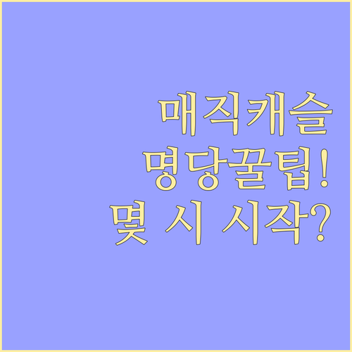 롯데월드 매직캐슬 라이팅 쇼 관람 시..