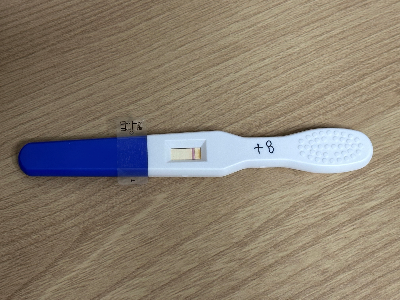 배란-8일차-증상-테스트기-단호박