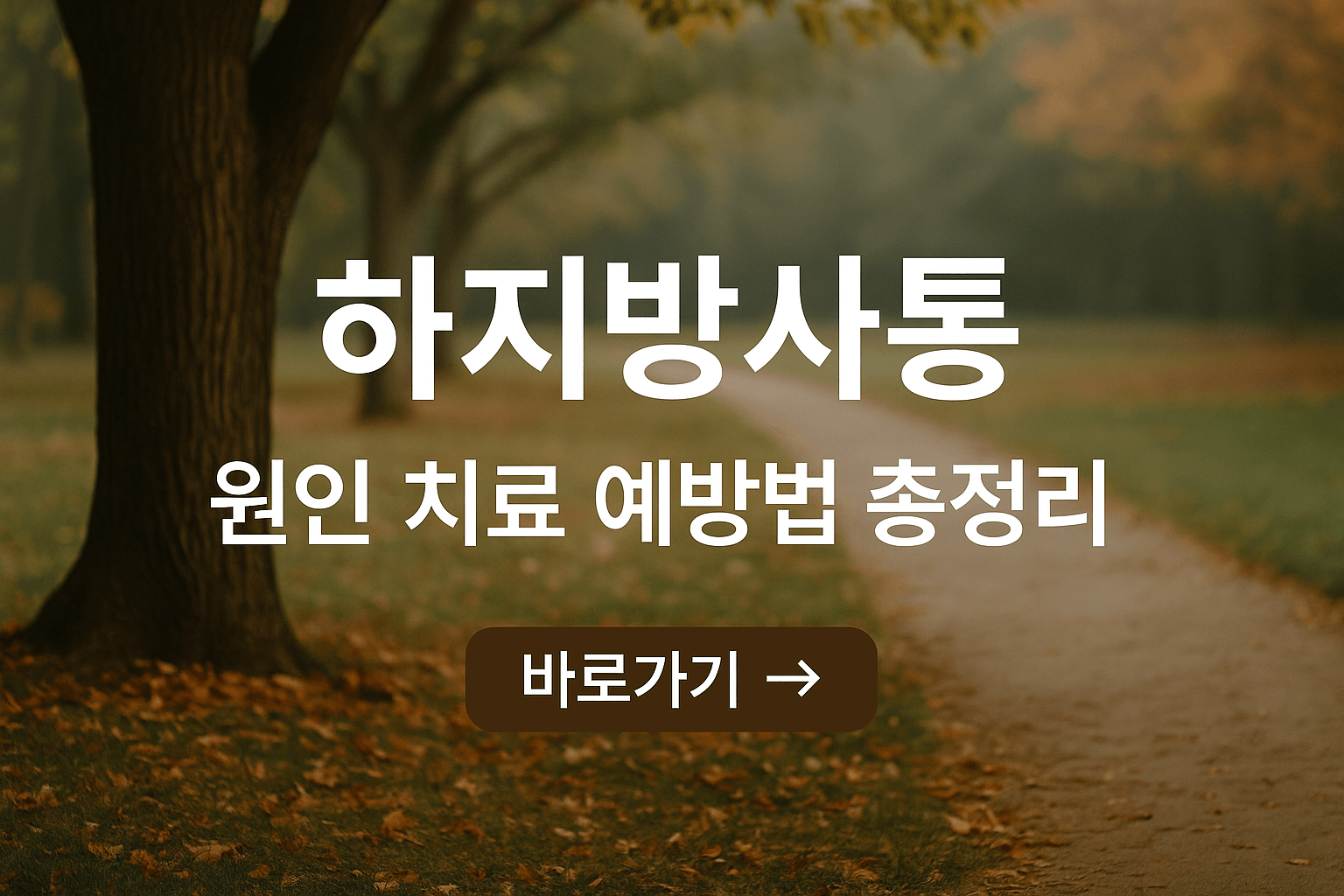 하지방사통 원인과 예방, 치료방법 총정리
