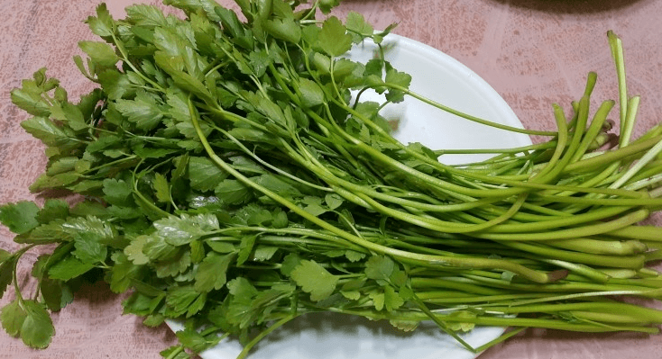 돌마니라 사진 - 14