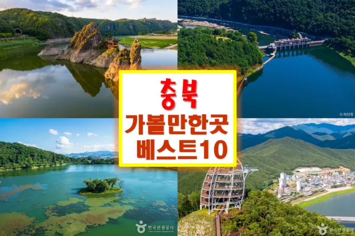 충북 가볼만한곳 베스트10