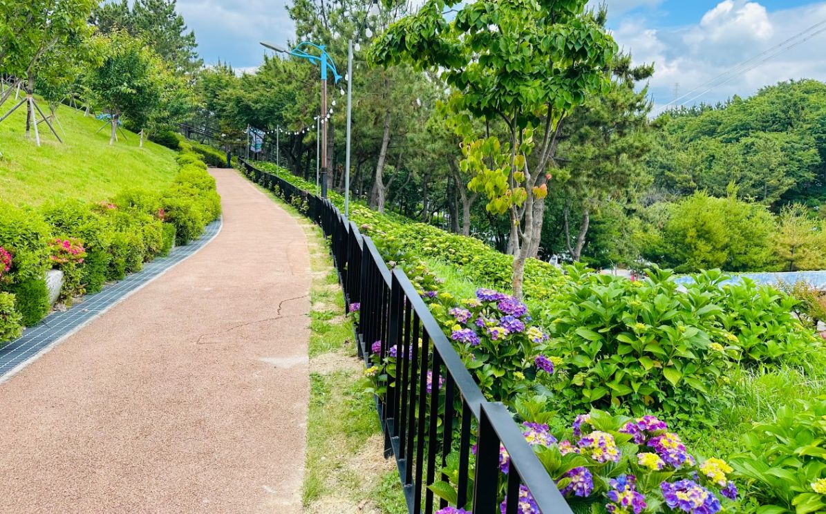 장생포오색수국정원