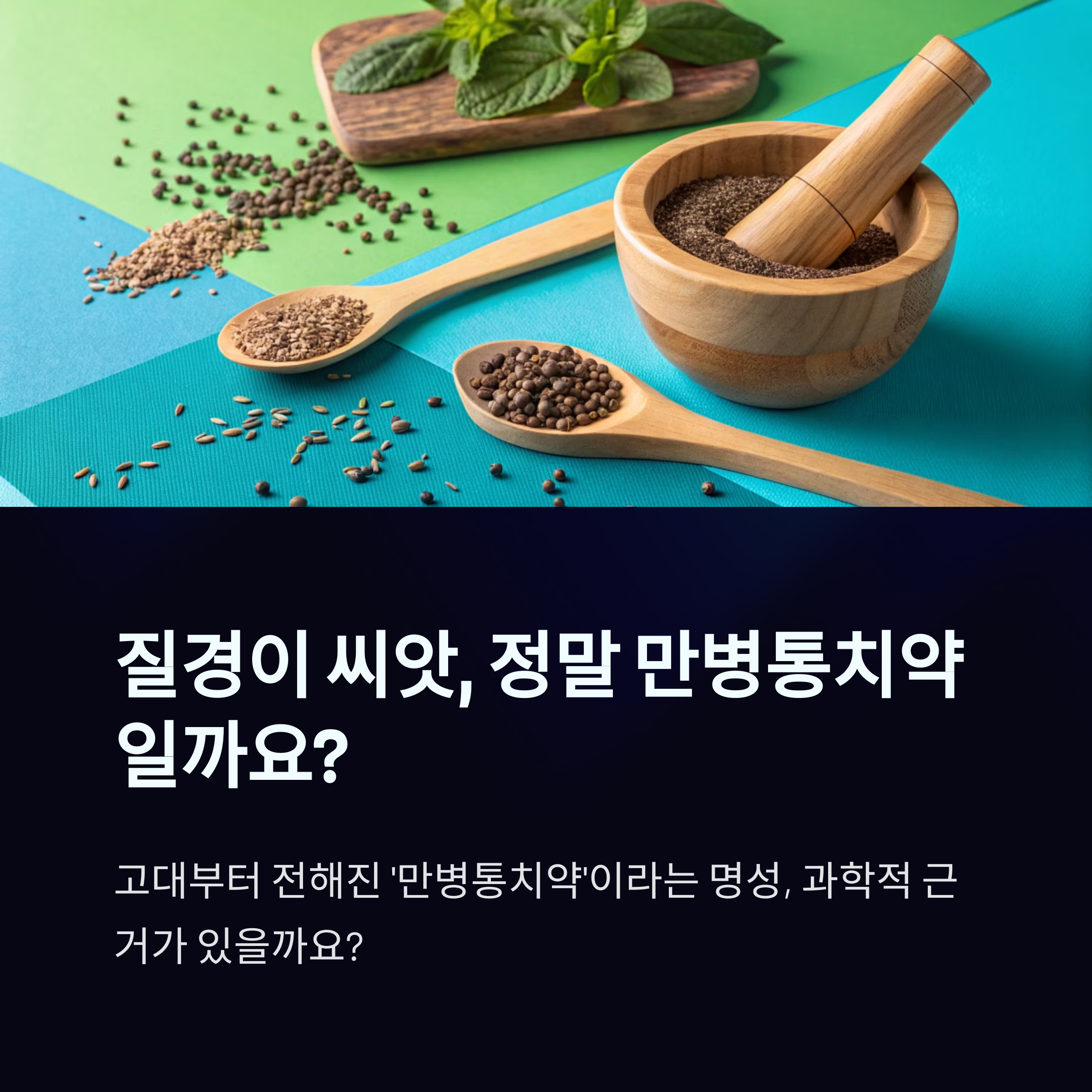 질경이 씨앗