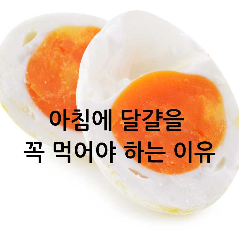 아침에 달걀, 왜 먹는 게 좋을까?