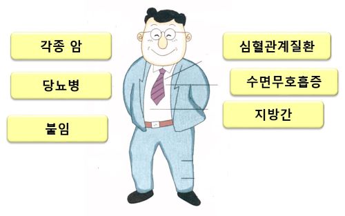 운동만 해도 건강해진다? 비만과 질병의 관계