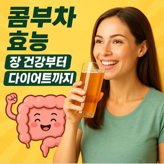 콤부차효능