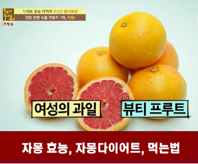 자몽 효능과 건강 효과_4