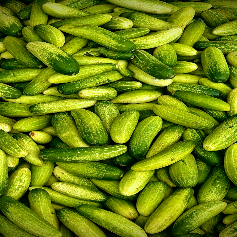 오이